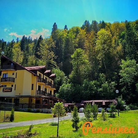 Pensiunea Geona Poiana Teiului ภายนอก รูปภาพ